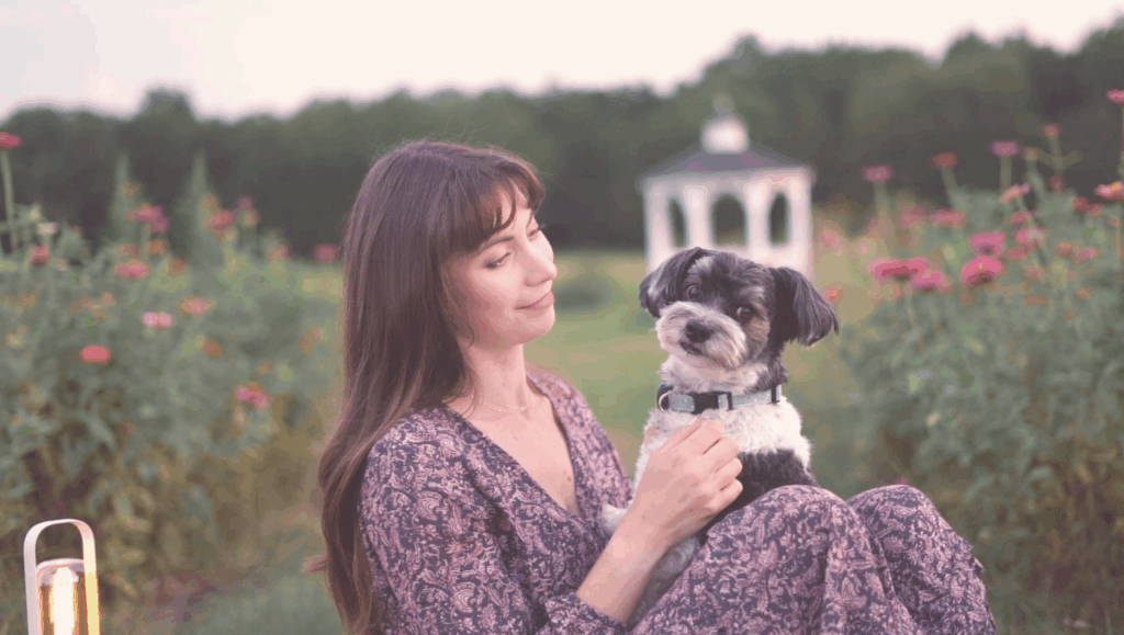 Woman with purple dress sitting in meadow with small black and white biewer terrier puppy in lap