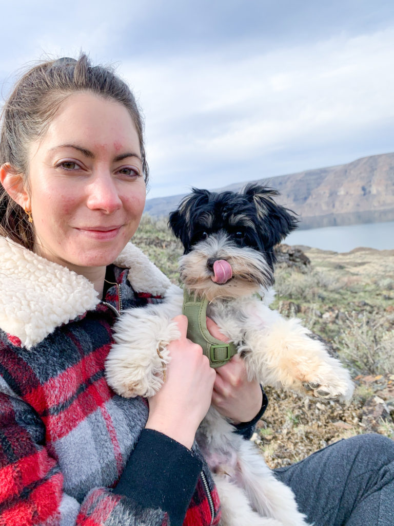 5 month old Biewer Terrier puppy with woman in Quincy, Washington on a hike, mountains and gorge in the background.