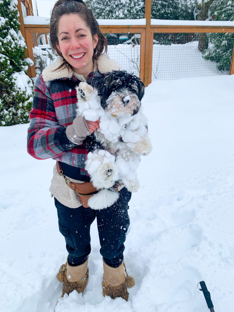 4 month biewer terrier puppy being held by woman in deep snow in Seattle Washington