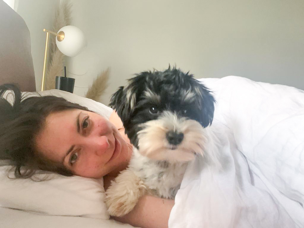 6 month Biewer Terrier sleeping under covers in bed with woman mother